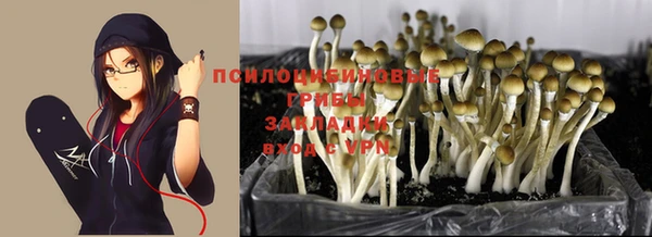 таблы Михайлов