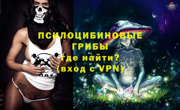 mix Надым