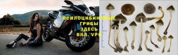 мет Михайловск