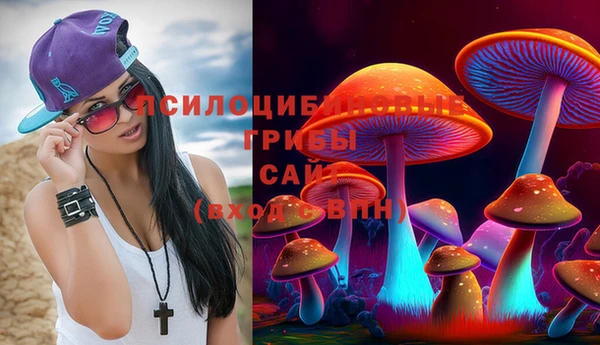 стафф Тайга