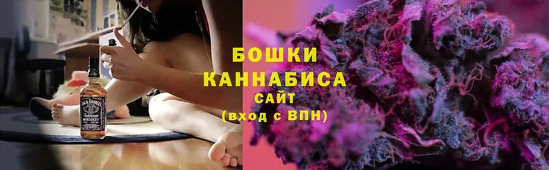 omg как войти  Иннополис  Марихуана OG Kush 